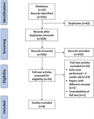 Echocardiography parameters used in identifying right ventricle dysfunction in preterm infants with early bronchopulmonary dysplasia: A scoping review